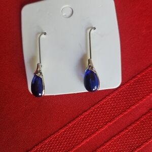☃️Deep Blue Teardrop Earrings